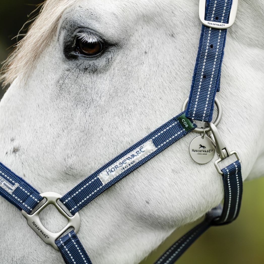 Horseware Fieldsafe Headcollar, Navy