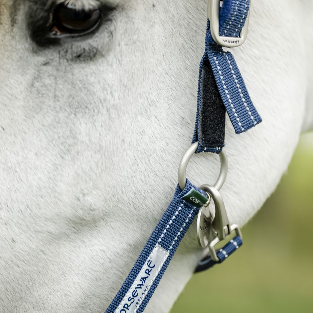 Horseware Fieldsafe Headcollar, Navy