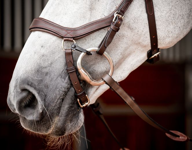 Horseware Micklem® 2 Competition Bridle