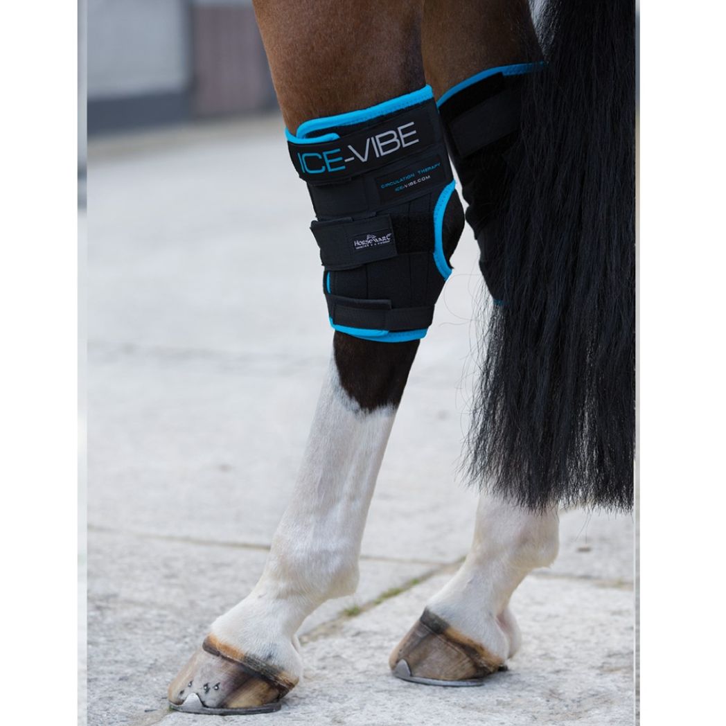 Ice-Vibe® Hock Wrap