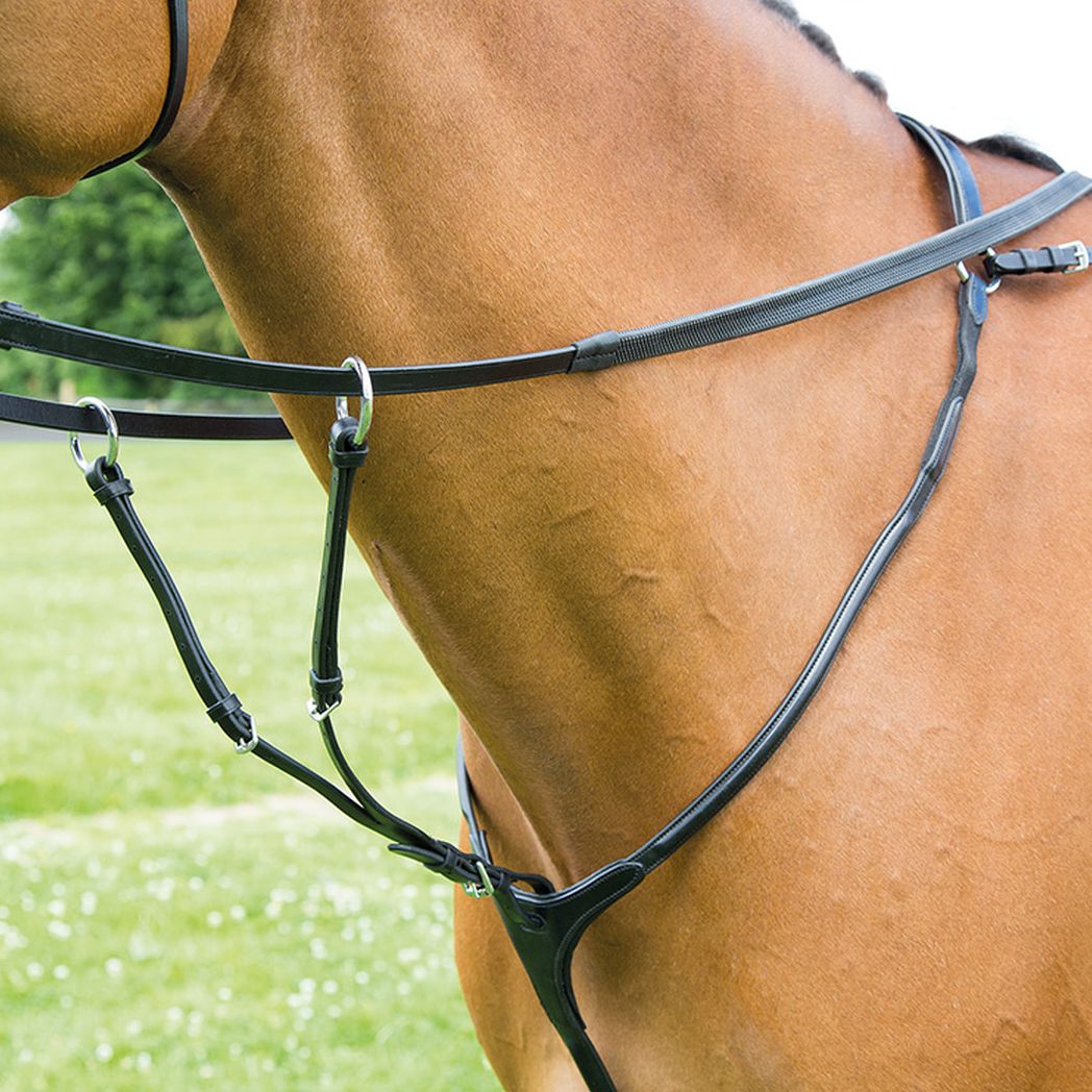Bridleway Lavello Breastplate