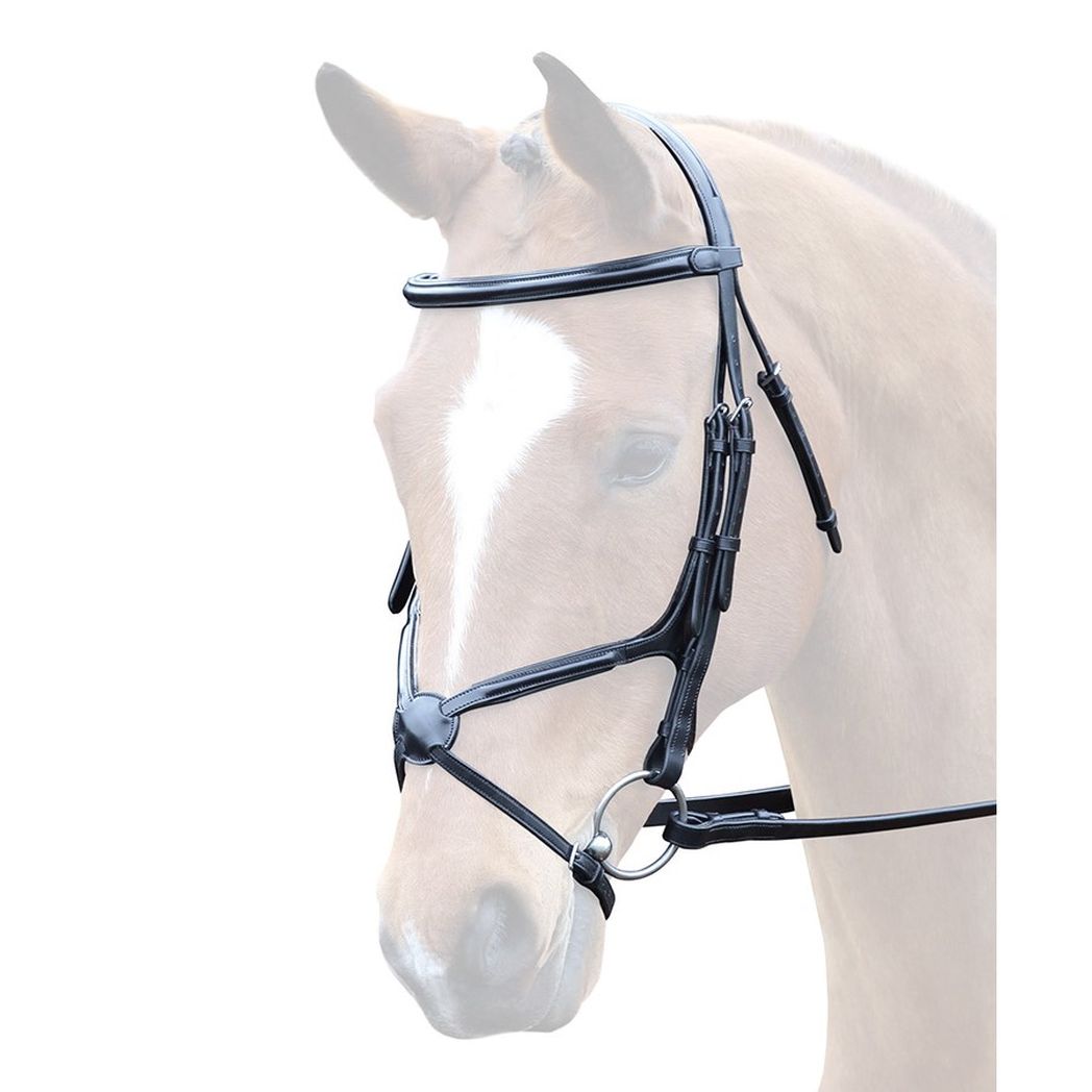 Bridleway Lavello Grackle Bridle