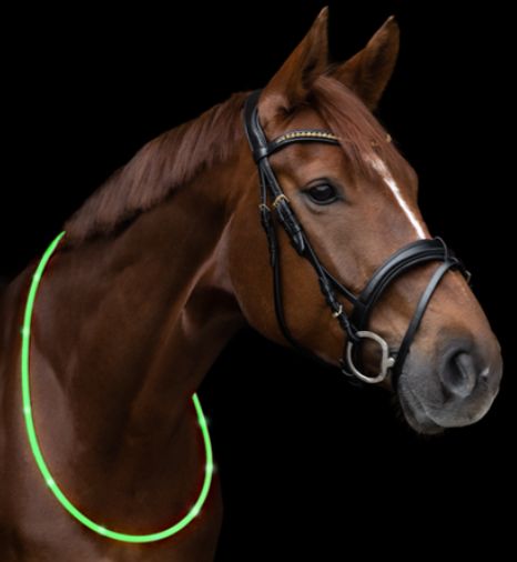 Waldhausen LED Neck Band