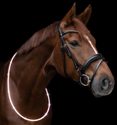 Waldhausen LED Neck Band