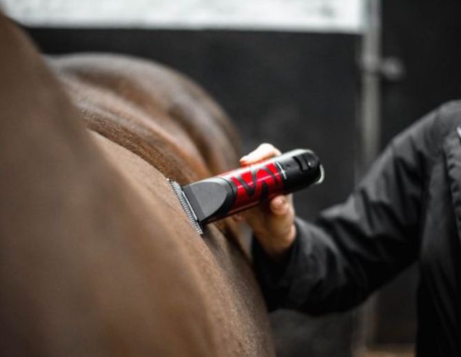 Liveryman Harmony Plus Wide Blade 2.4mm