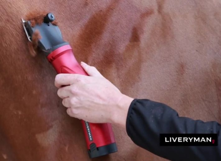 Liveryman Phoenix Clippers