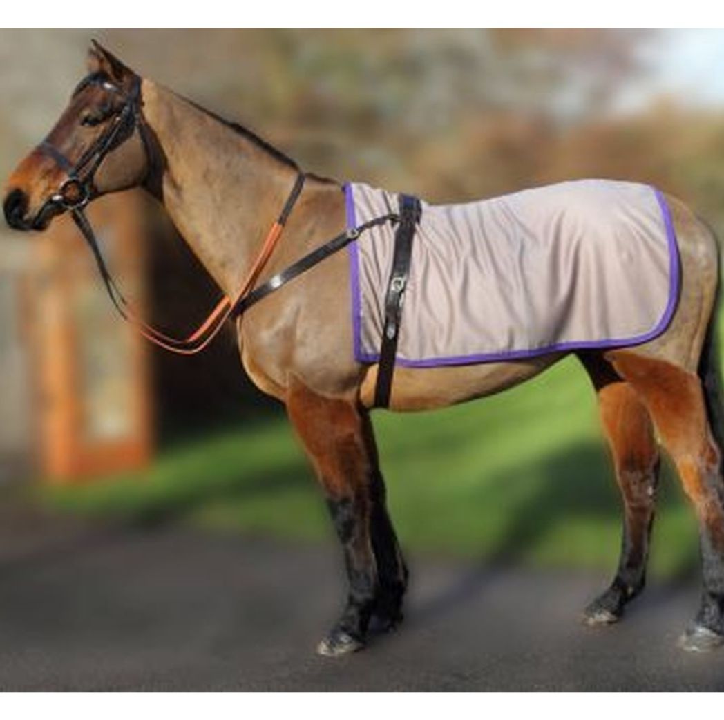 EJ Wicks Paddock Sheet