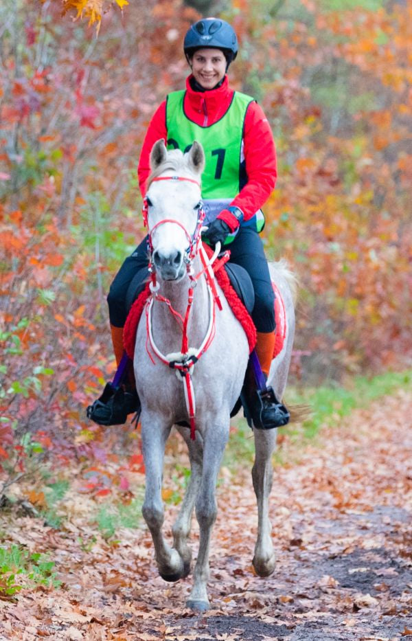 Zilco Ultra Martingale