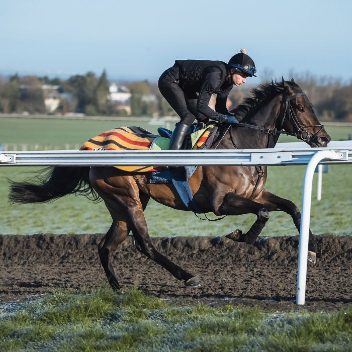 Racesafe RaceMotion 2