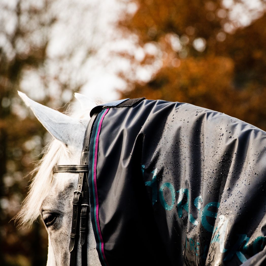 Horsewear Rambo Mack In A Sack Navy/Burg