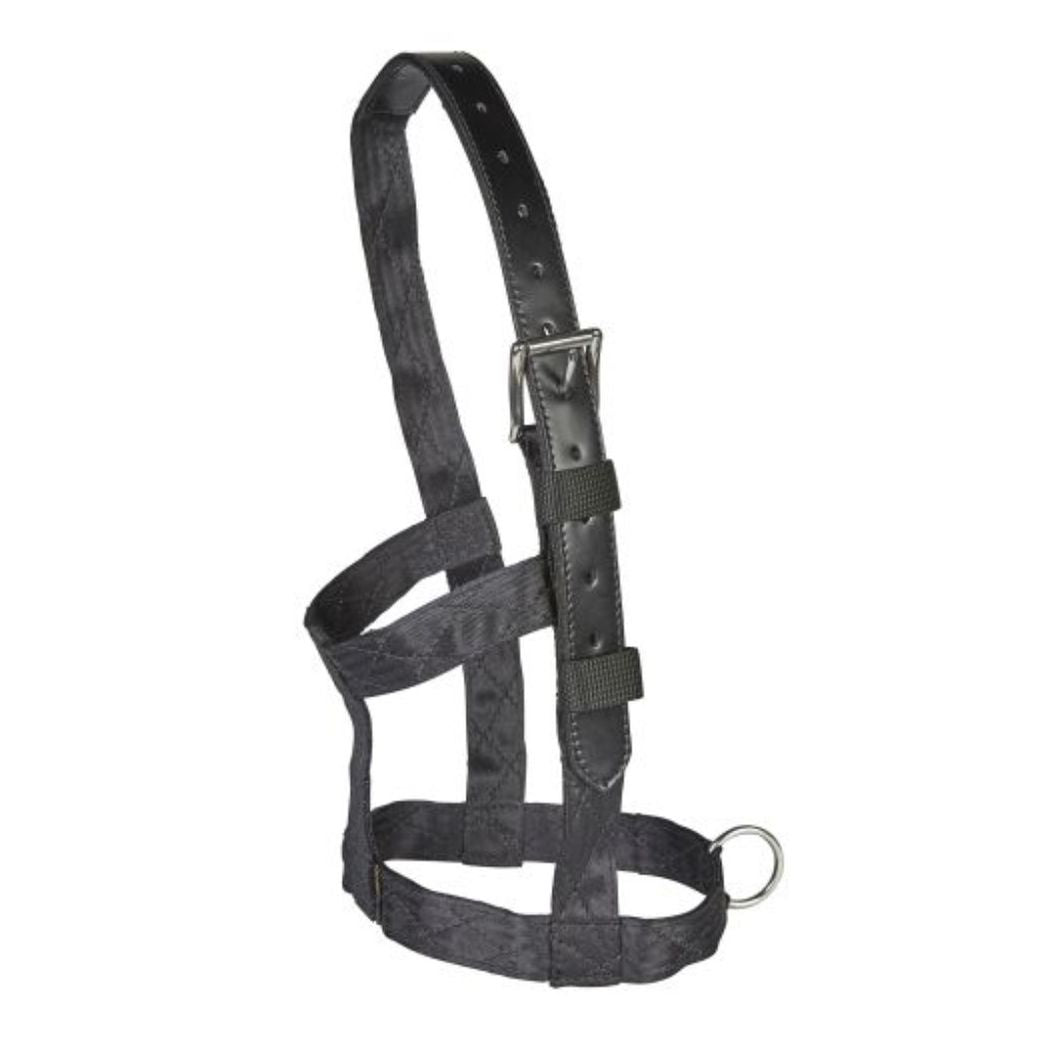 EJ Wicks Recovery Headcollar