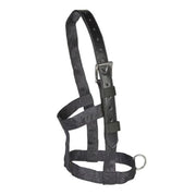 EJ Wicks Recovery Headcollar