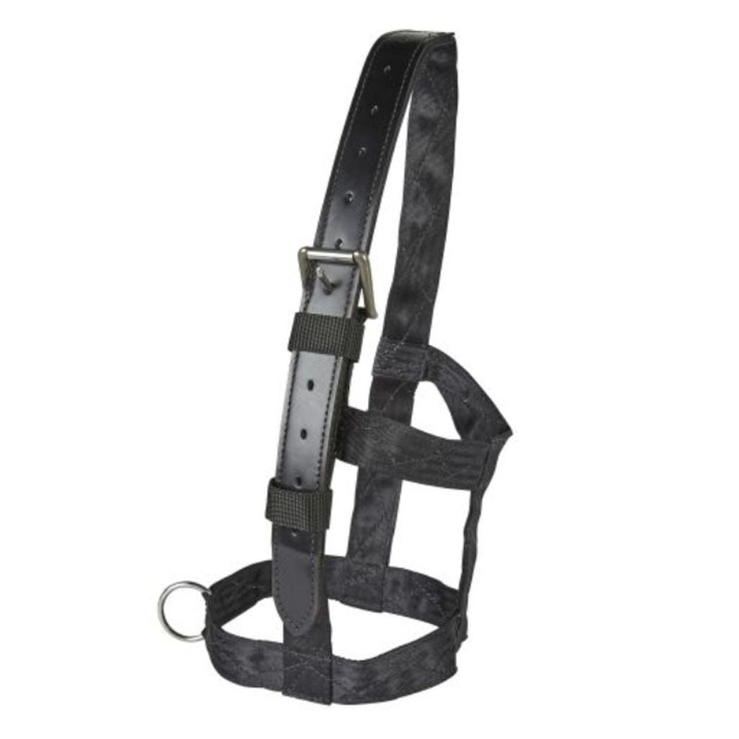 EJ Wicks Recovery Headcollar