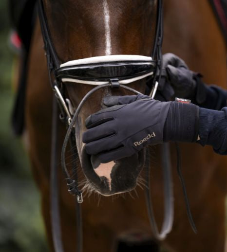 Roeckl Winsford Gloves