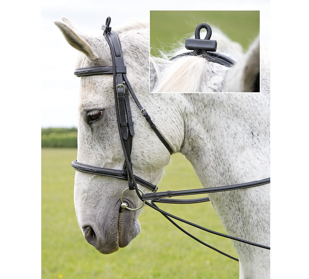 Elastic Training Reins