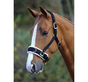 Shires Fleece Lined Lunge Cavesson