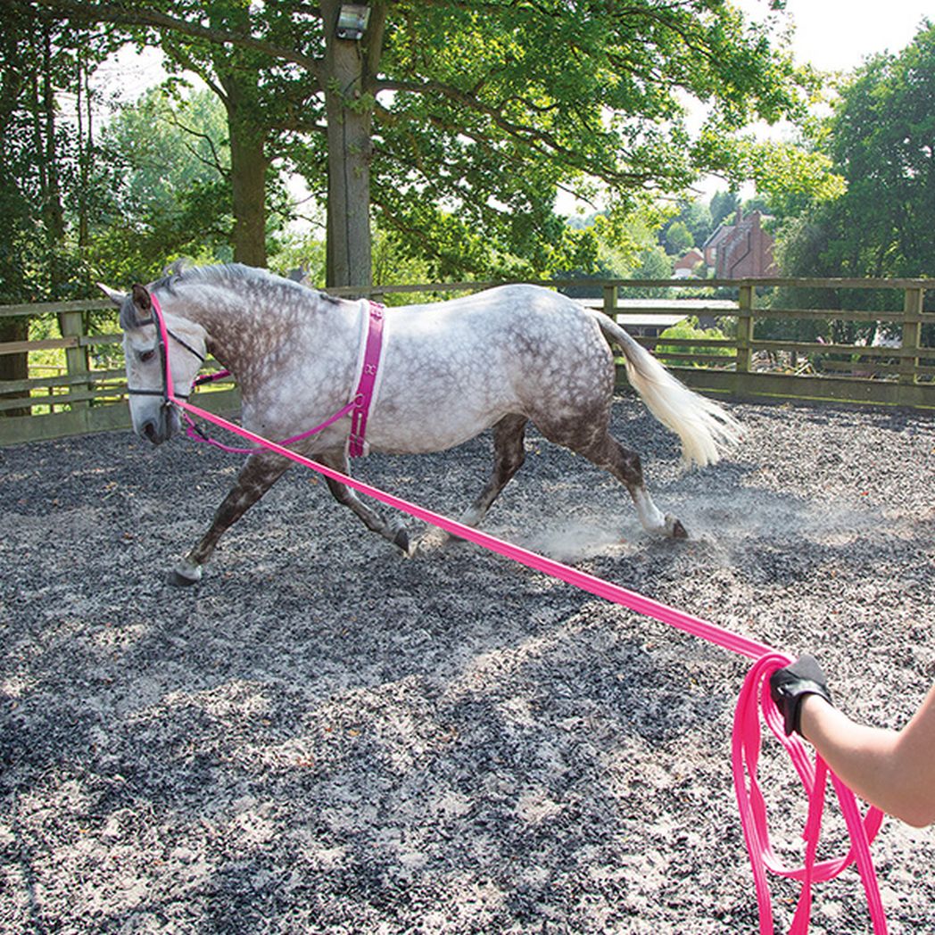 Shires Nylon Web Side Reins