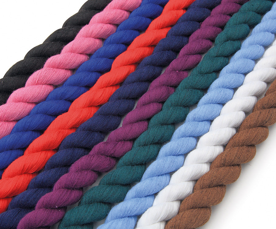 Plain Walsall Clip Lead Rope