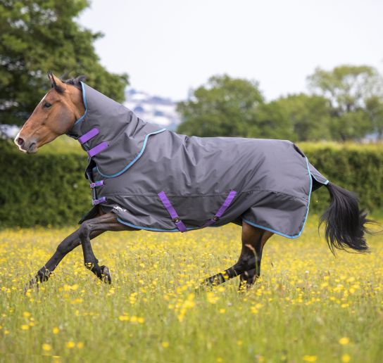 Shires Tempest Original 300 Turnout Rug and Neck Set