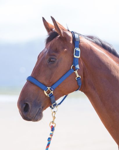 Topaz Headcollar