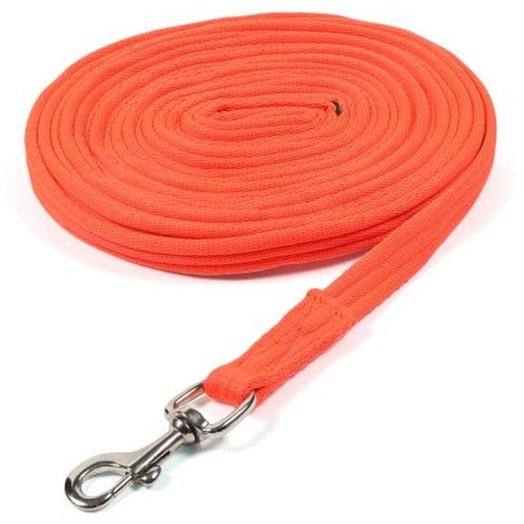 Shires Cushion Web Lunge Line