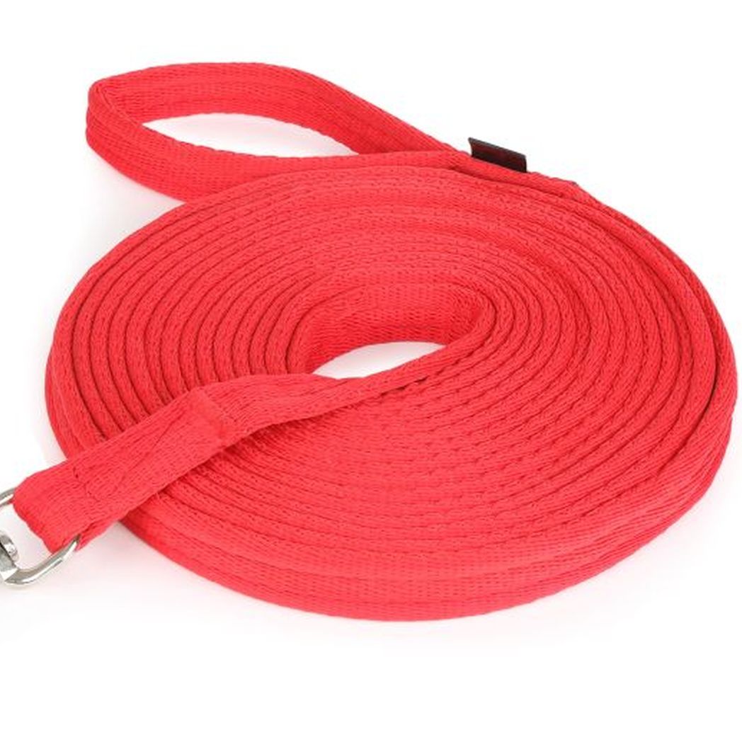 Shires Cushion Web Lunge Line