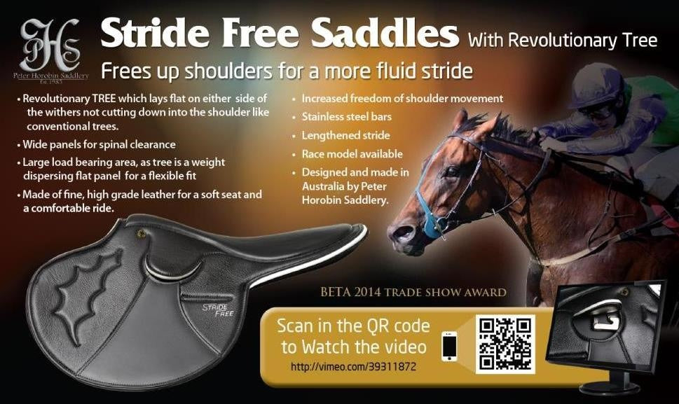 Stride Free Exercise Saddle - 2021 Design