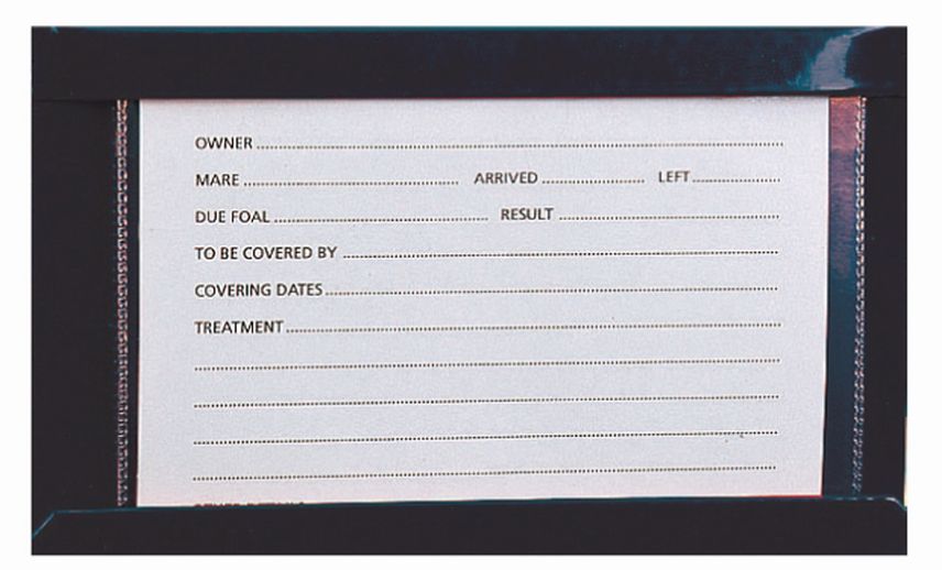 Stubbs Stud Card Holder - Large