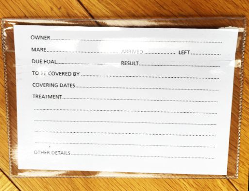 Stubbs Stud Card Replacement Wallet