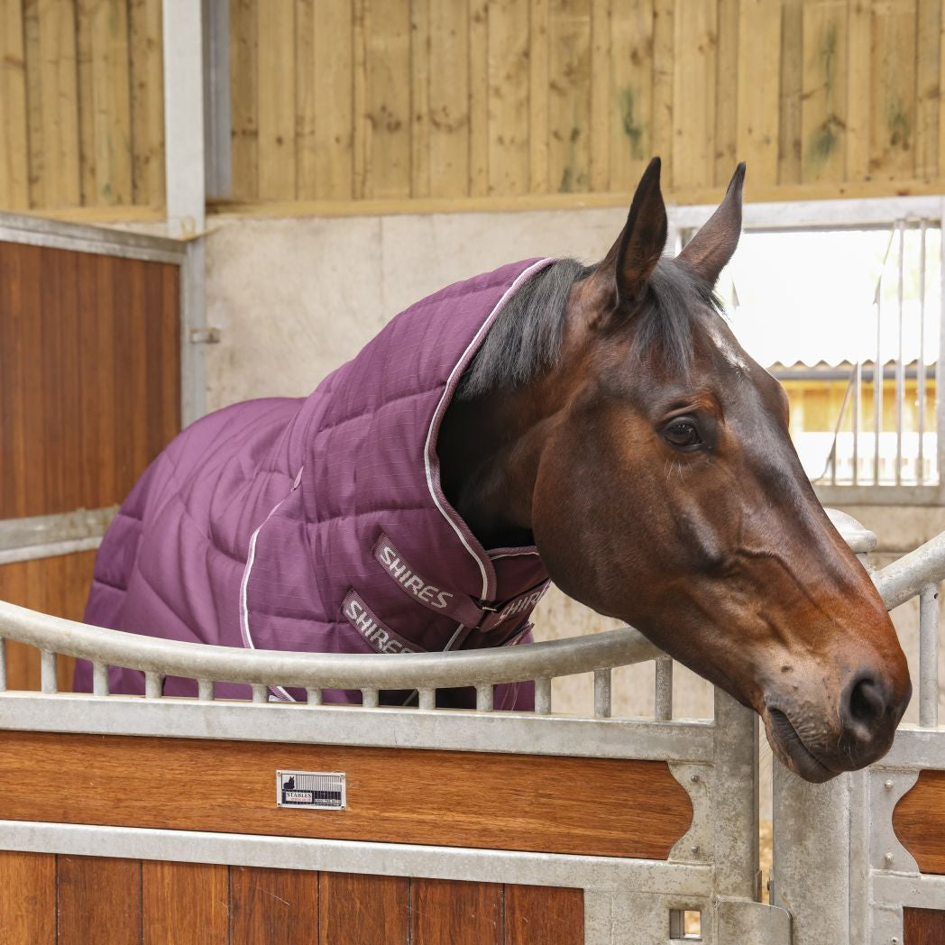 Tempest Original 300g Combo Stable Rug - Burgundy