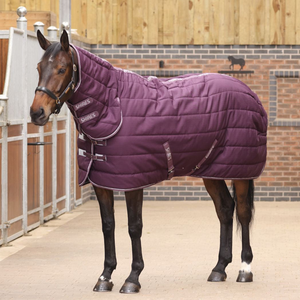 Tempest Original 300g Combo Stable Rug - Burgundy