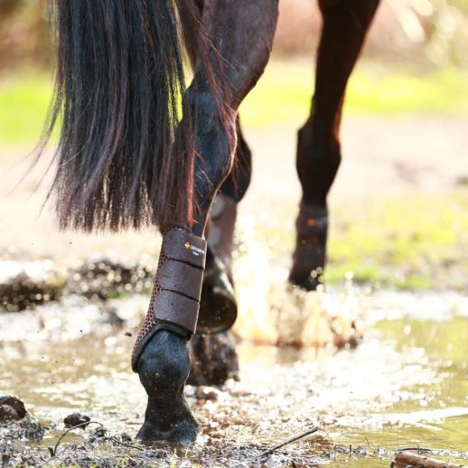 Tri Zone Brushing Boots