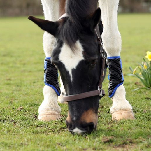 Tri Zone Brushing Boots