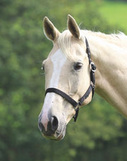  Wessex Nylon Headcollar