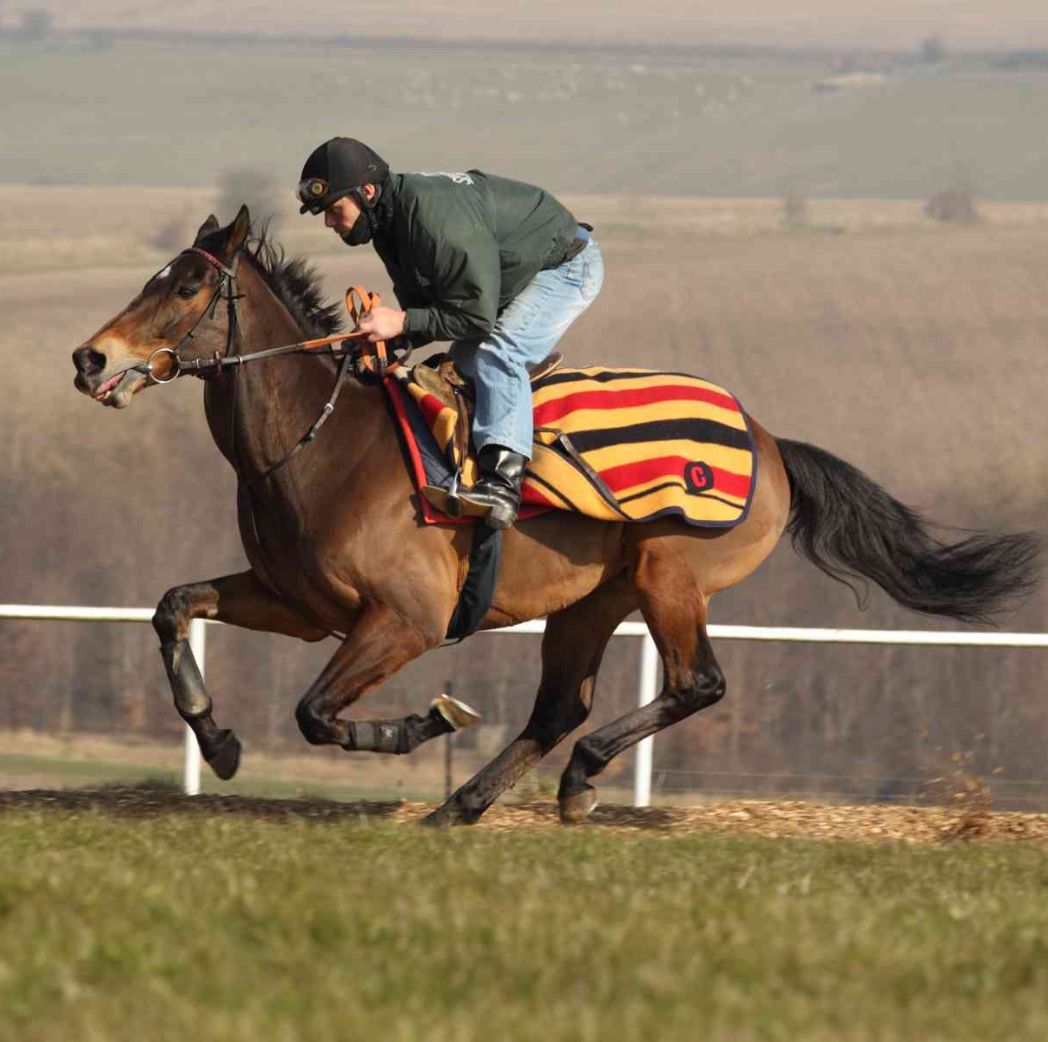 Witney Exercise Sheet