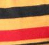 Witney Stripes - Gold