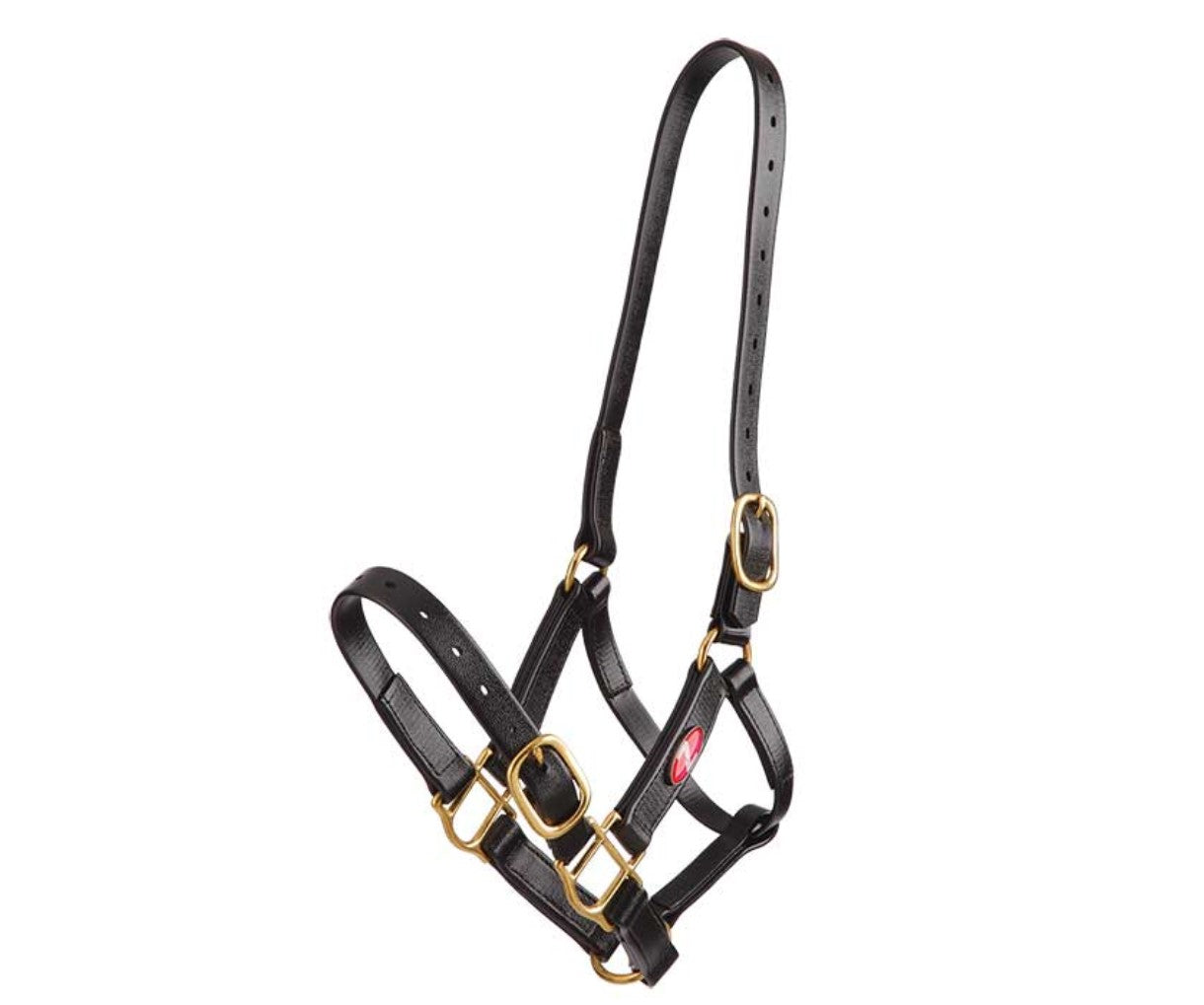 Zilco 25mm Synthetic Headcollar