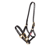 Zilco 25mm Synthetic Headcollar