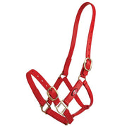 Zilco 25mm Synthetic Headcollar Red