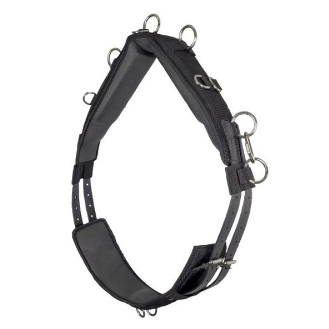 Zilco Deluxe Lunge Roller