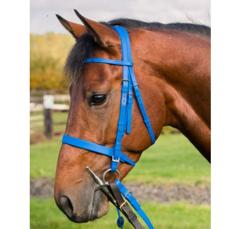 Zilco Epsom Bridle with Cavesson