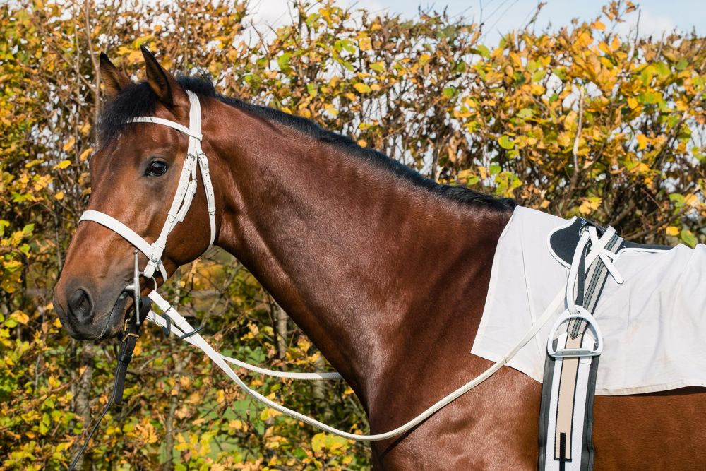Zilco 185g Race Saddle