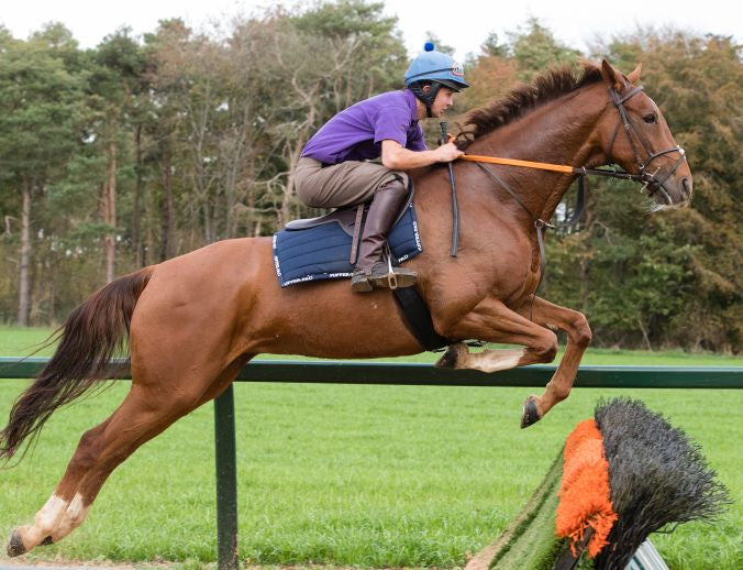 Zilco Soft Seat Half Tree Exercise Saddle