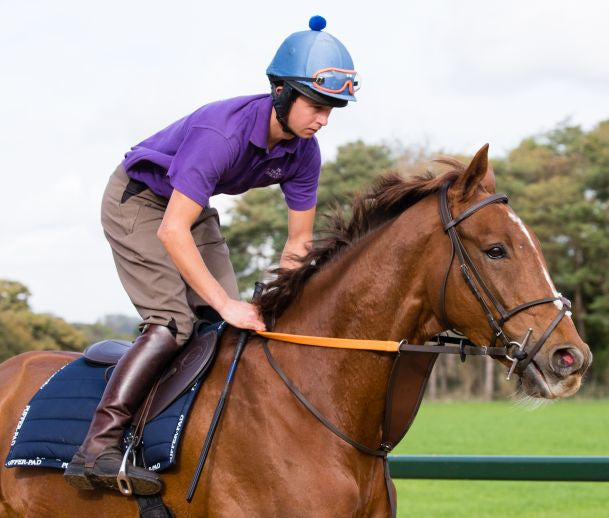 Zilco Soft Seat Half Tree Exercise Saddle