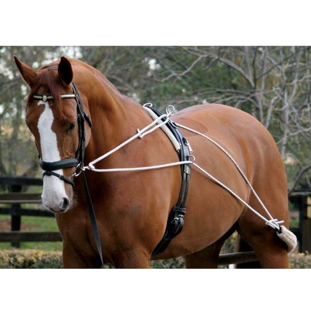 Zilco Lunge Training System