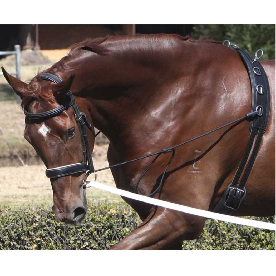 Zilco Elastic Neck Stretcher