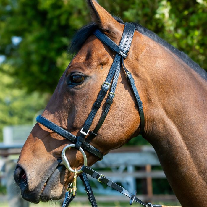 Zilco Pony Racing Bridle