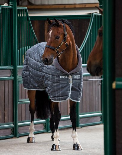 Stable Rugs