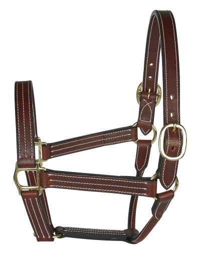 Leather Headcollars