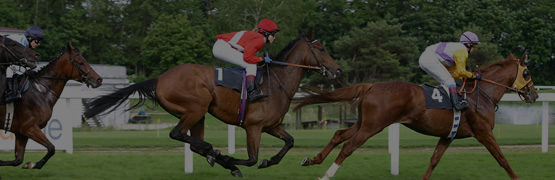 Racing saddlery deals